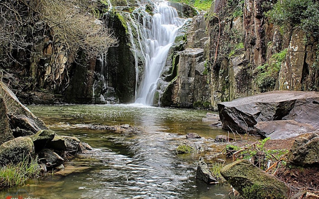 Contribuição da Igreja para o cuidado da Casa Comum, em mensagem dos bispos espanhóis