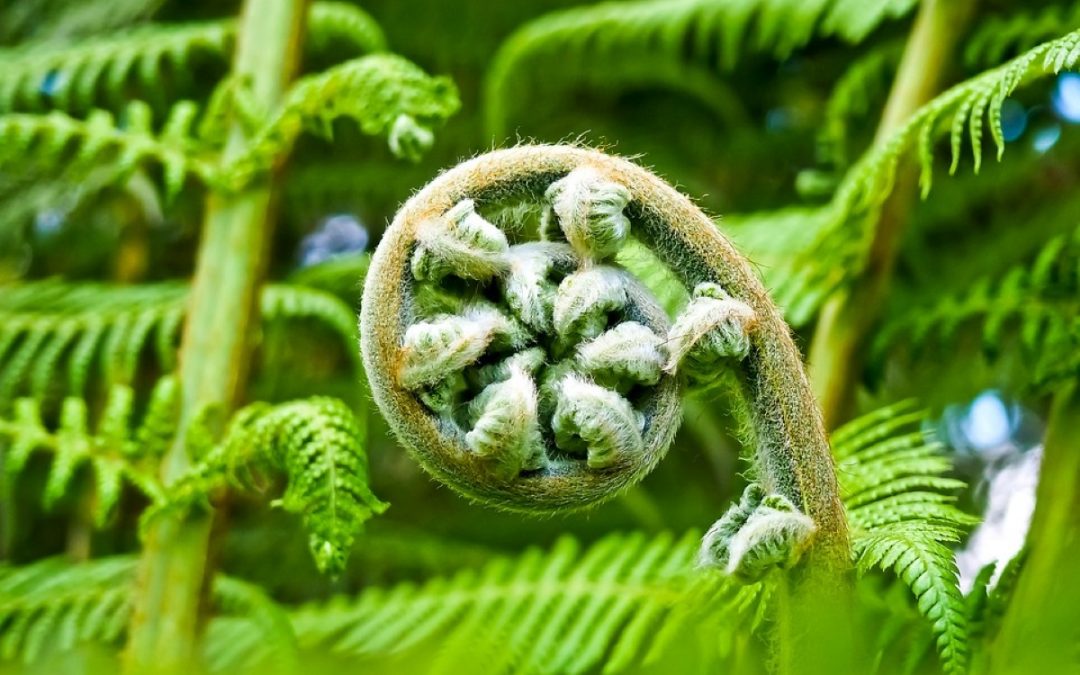 É preciso – e urgente – agir e mudar