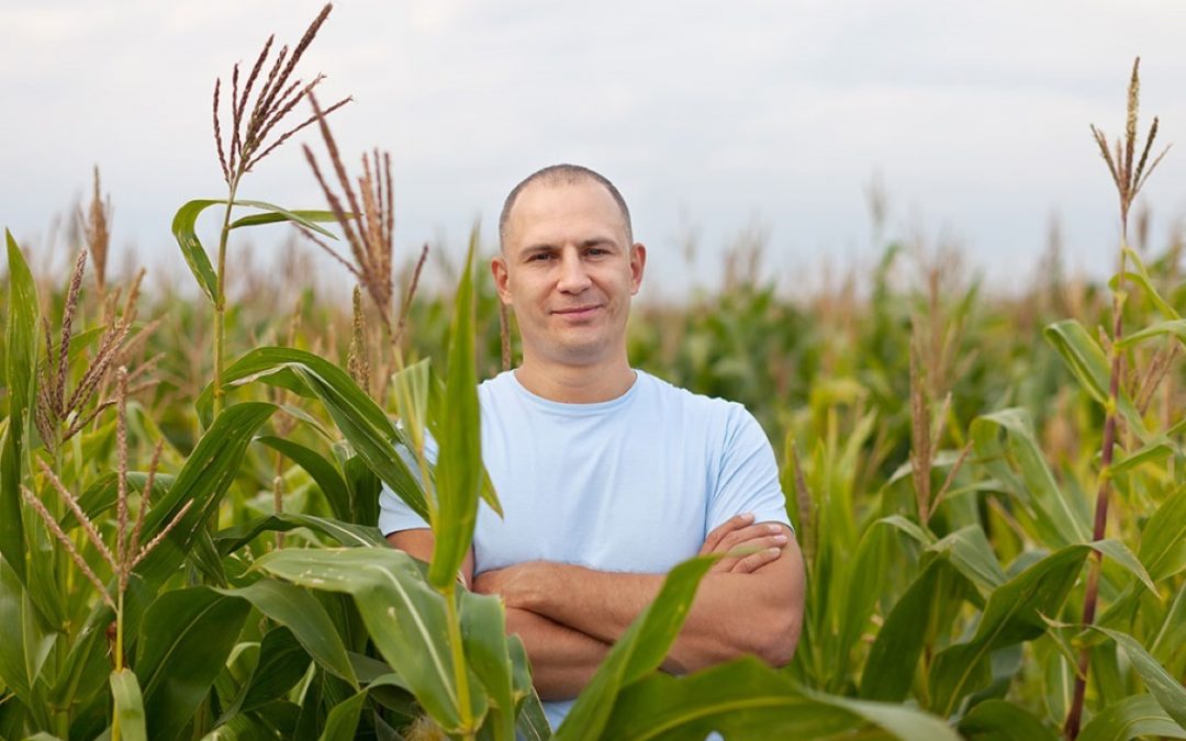 Agricultura familiar, sustentabilidade e ecologia integral
