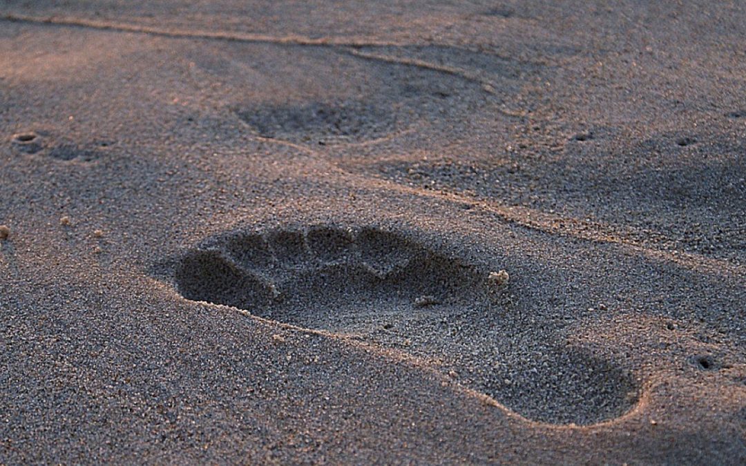 Portugal já está a consumir recursos do próximo ano