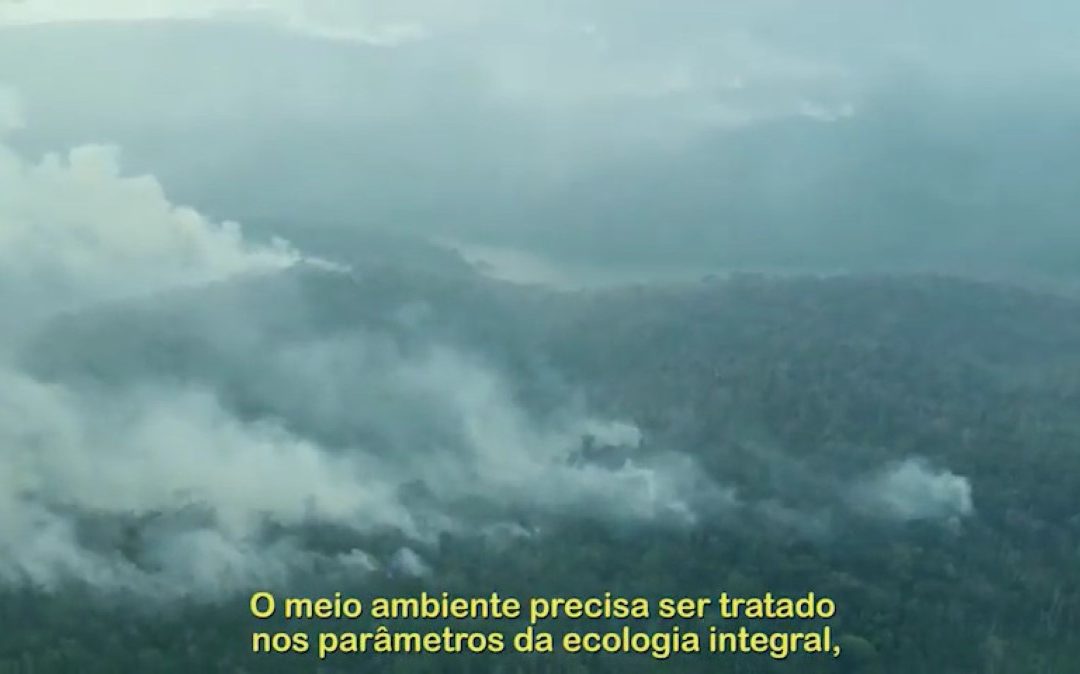 Levante a voz pela Amazónia!