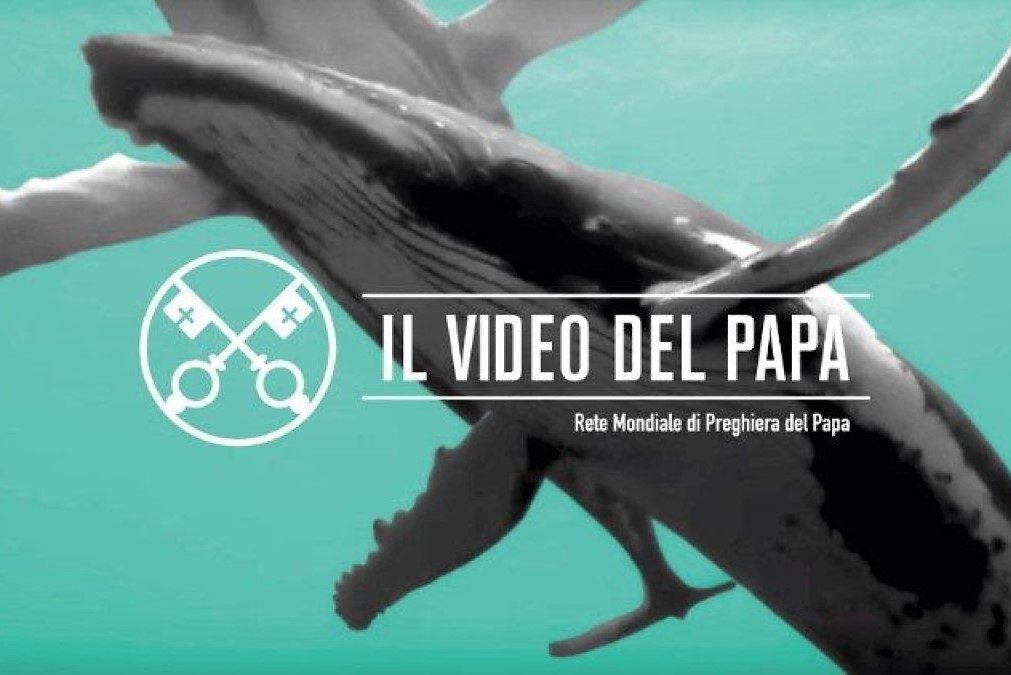 Intenção do Papa para Tempo da Criação