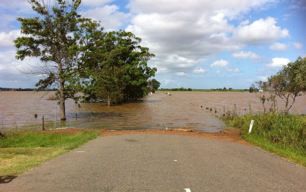 Seriíssima emergência climática, avisam 11 mil cientistas