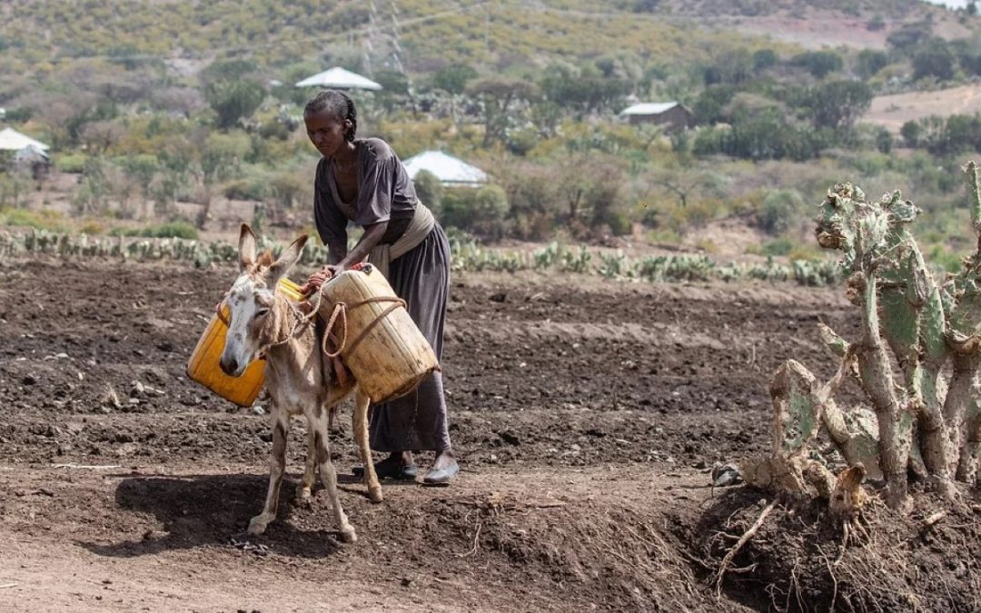 FMI – A economia ao serviço das pessoas