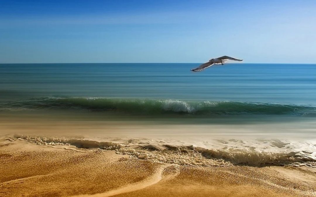 O sentido do Dia da Terra