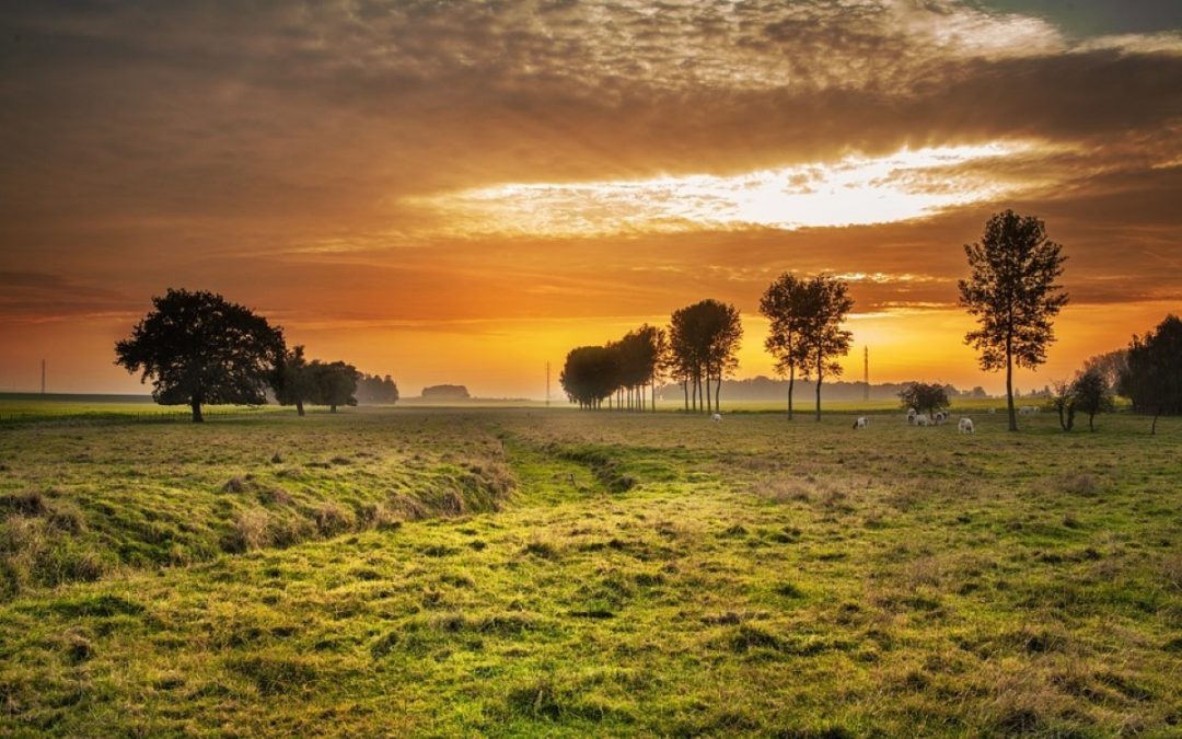 Da Laudato Si’, no Dia da Terra