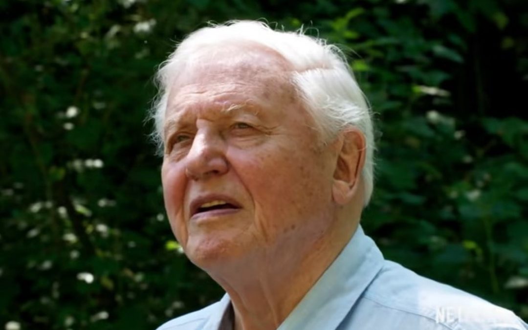 David Attenborough: Uma vida no nosso planeta