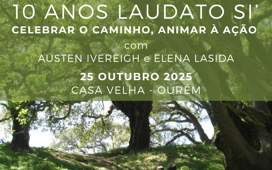 Celebrar o caminho, animar à ação!